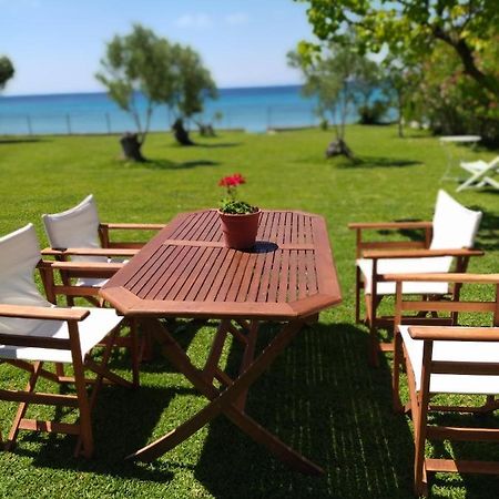 Seaside House Βίλα Νέα Σκιώνη Εξωτερικό φωτογραφία