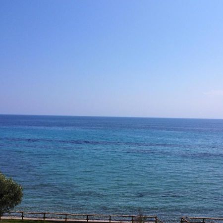 Seaside House Βίλα Νέα Σκιώνη Εξωτερικό φωτογραφία