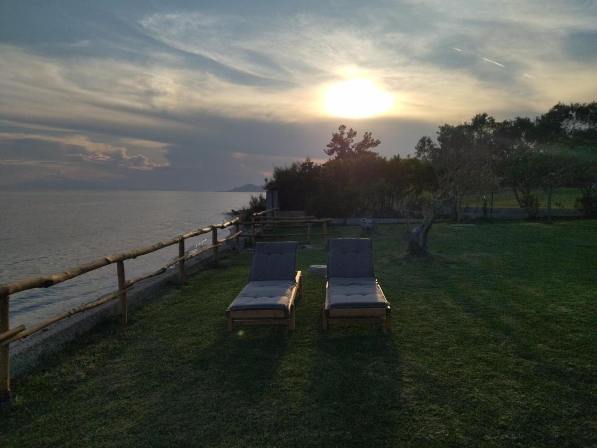 Seaside House Βίλα Νέα Σκιώνη Εξωτερικό φωτογραφία